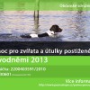 Oběti povodní: pomoc pro zvířata (pomoc zvířatům - povodně 2013)